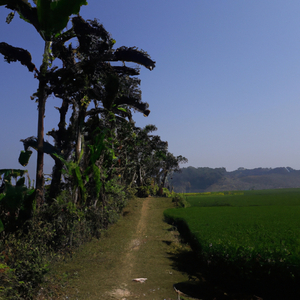 হাসনাত আব্দুল্লাহর নির্বাচনী গান