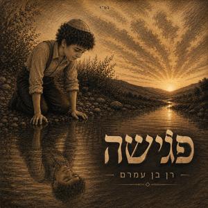 פגישה