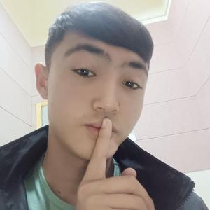 Qarqaydikan Arkakmu Asli