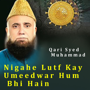 Nigahe Lutf Kay Umeedwar Hum Bhi Hain