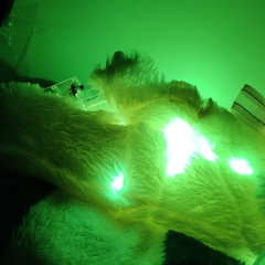 EA7山水一程三生有幸