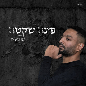 פינה שקטה