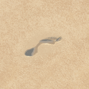 Каждую секунду