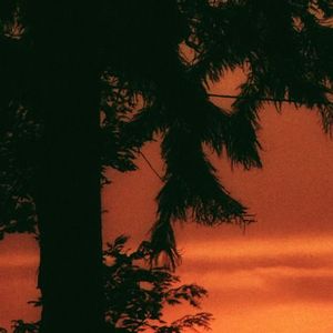 真心不如红钞票