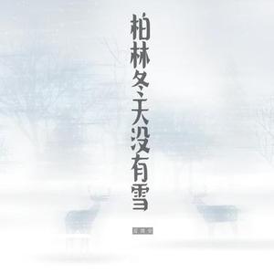 柏林冬天没有雪 - Dj豪大大版伴奏