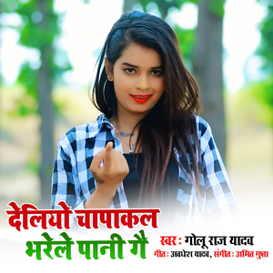 Deliyo Chapakal Bharele Pani Ge