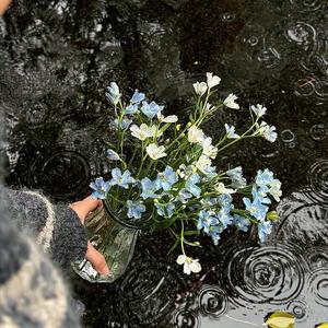 该死的温柔（抖音温柔女生版）