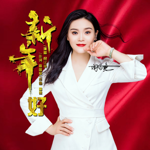 新年好 (DJ阿阳版伴奏)