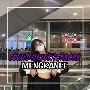 DJ TERBARU MASHUP INDIA SOUND TIKTOK