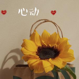 心动 温柔男声版