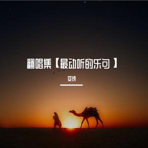 如果你是爱上我的沧桑