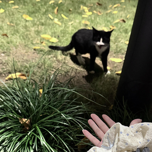 卡在朋友名义里的暗恋