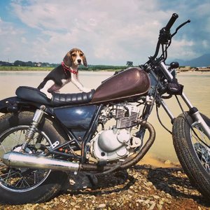 海底的沙石你的样子