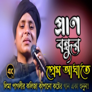 প্রাণ বন্ধুর প্রেম আঘাতে