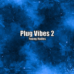Plug Vibes 2