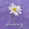 LordHeeDictator - Daisy（翻自 潘他狗）