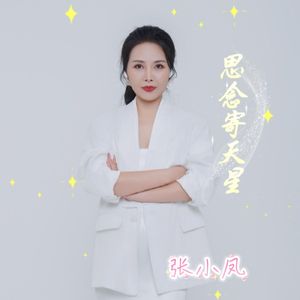 思念寄天星  和声伴奏