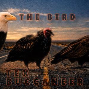 The Bird