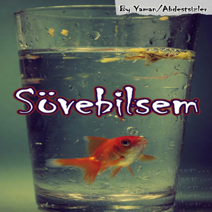Abdestsizler- Sövebilsem