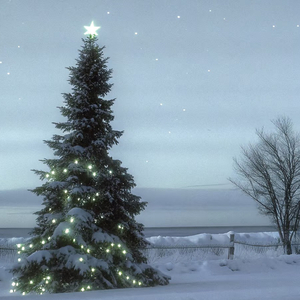 装你进圣诞#AI创作大赛2025最后一首情歌赛季