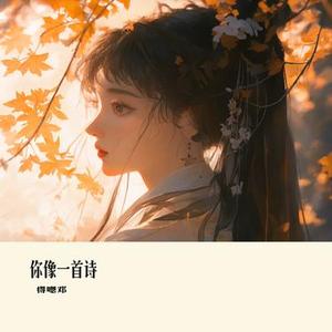 你像一首诗