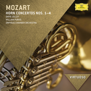 Allegro In D For Horn And Orchestra K.412:1. Allegro