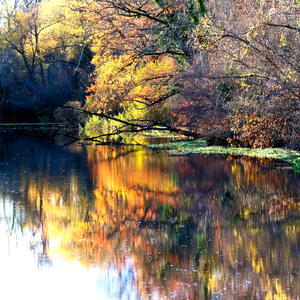 자연속의 힐링뮤직