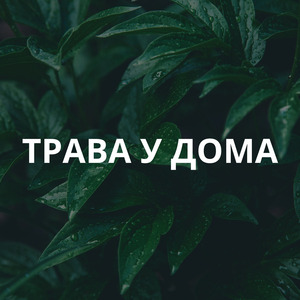 ТРАВА У ДОМА