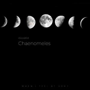 Chaenomeles
