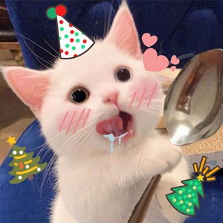 Christmas | 送你的圣诞小喵喵～请查收！