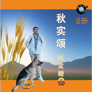 秋实颂·陈皮糖.wav