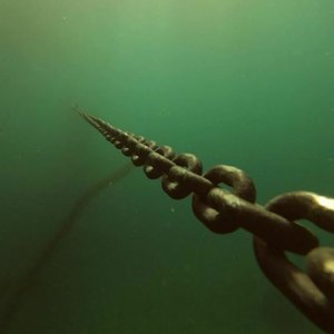 Sea
