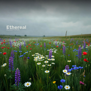 Ethereal