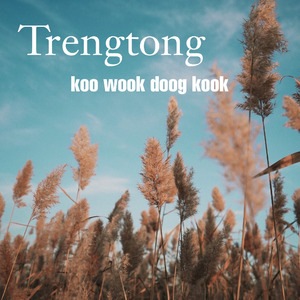 Trengtong