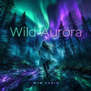 Wild Aurora