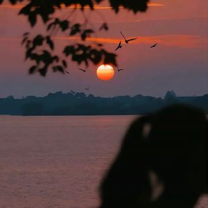 你就不要想起我