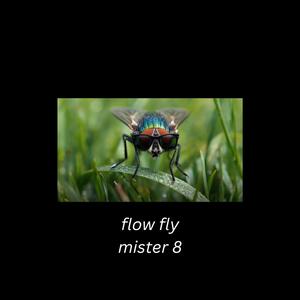 Flow Fly