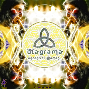 True Hallucinations (Diagrama Remix)