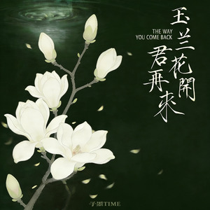 玉兰花开君再来