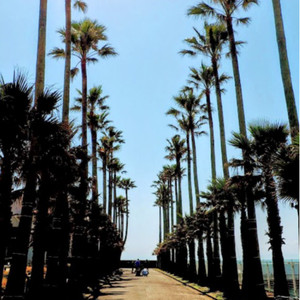 TASUKI（駅伝応援歌）