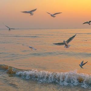 不值得Live（cover 单依纯）