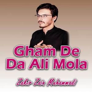 Mola Imam Raza