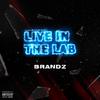 Live in the lab - Brandz x Live in The Lab (feat. Brandz)