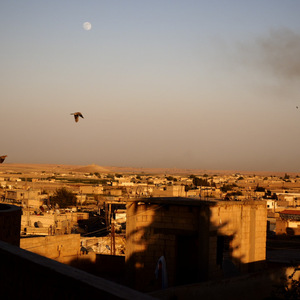 アラビアンダンス