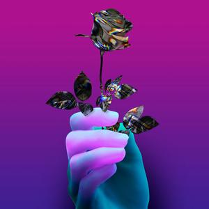 Robot Lover (FM Attack Remix)