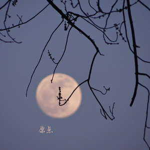 落日当空 (八音盒)