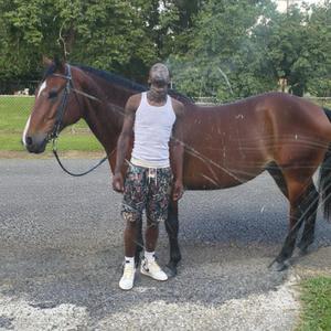Ride My Pony (Rolling, Rolling)