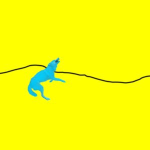 The Leash Is Also a Whip (Extended Version)