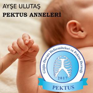 PEKTUS ANNELERİ