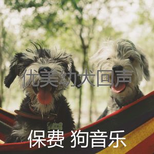 安静的训练犬声音